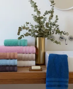 BAÃO A. IRIS LISO/RATIER450G Arco Iris Toallas